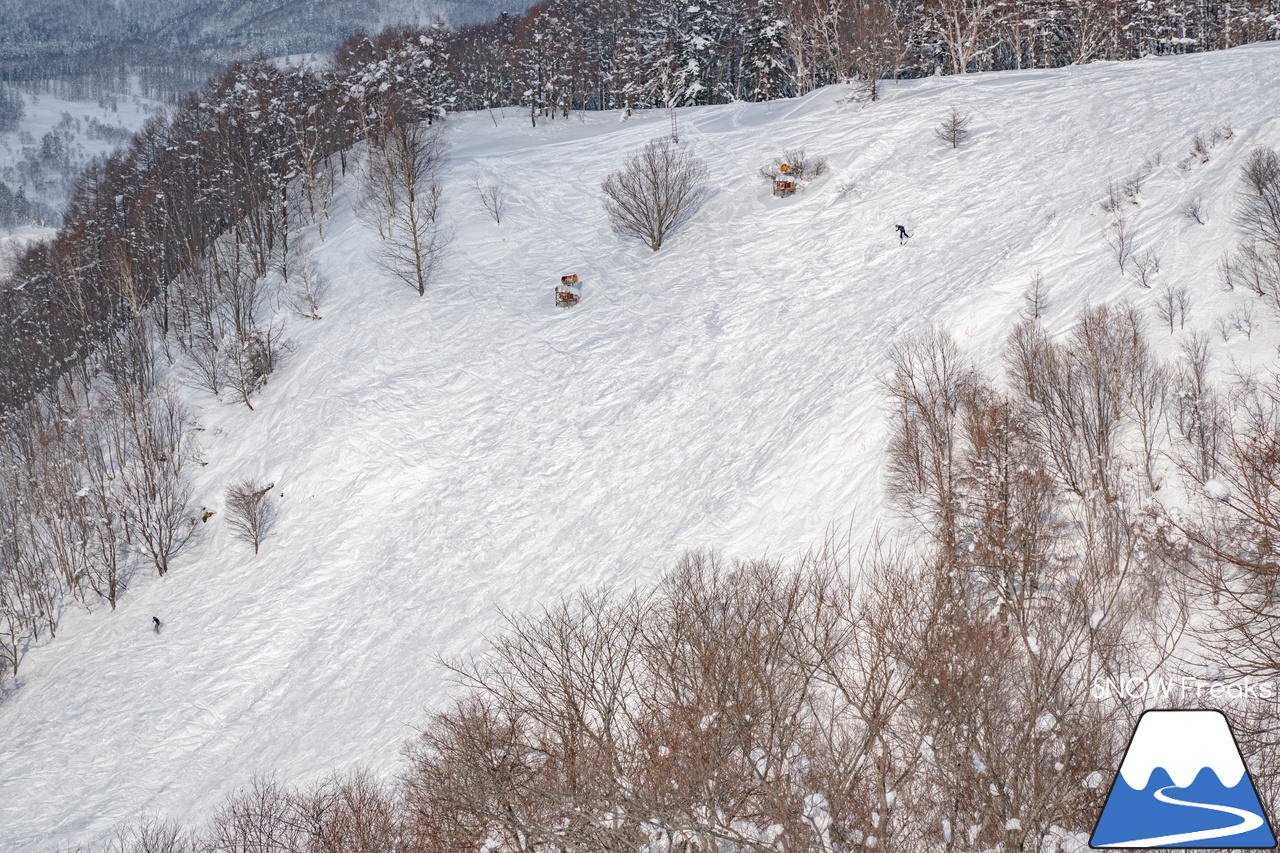 マウントレースイ｜お正月の記録的な大雪でゲレンデのコンディションはバッチリ！凸凹の未圧雪エリアを楽しみましょう♪